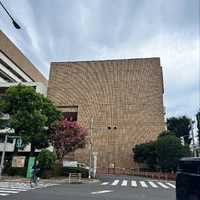画像264