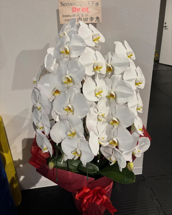 画像366