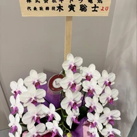 画像371