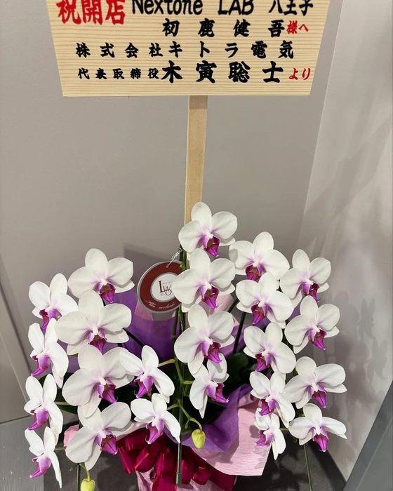 画像371