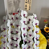 画像375