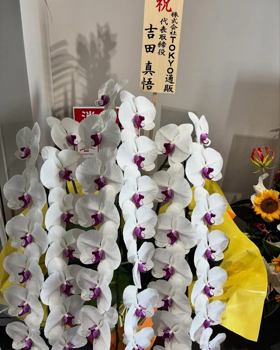 画像375