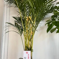 画像378