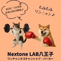 画像443