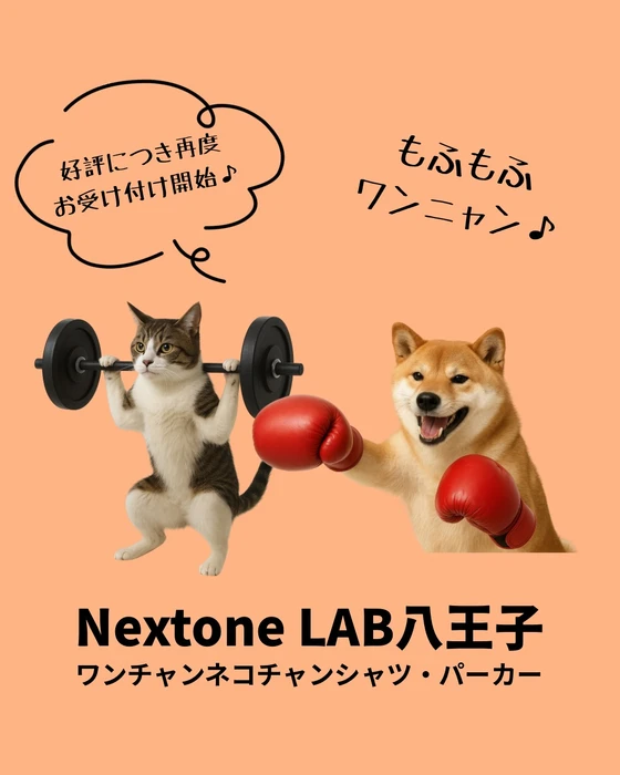 画像443