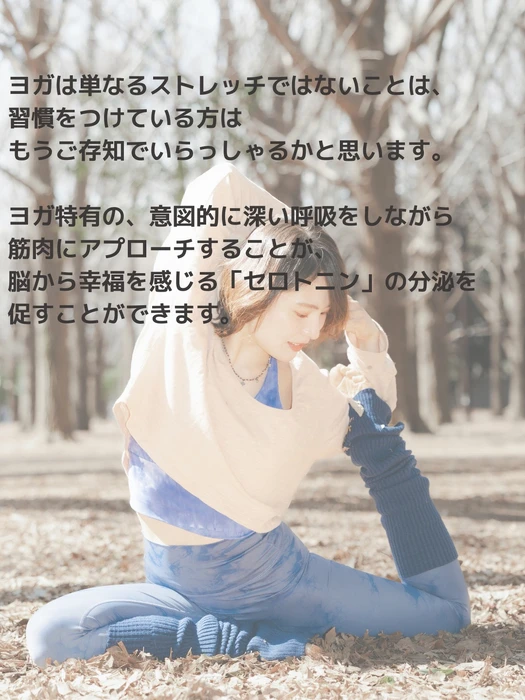 画像482
